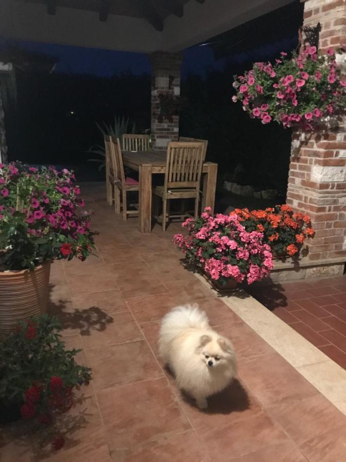 Villa Eva Karigador Новиград Екстериор снимка
