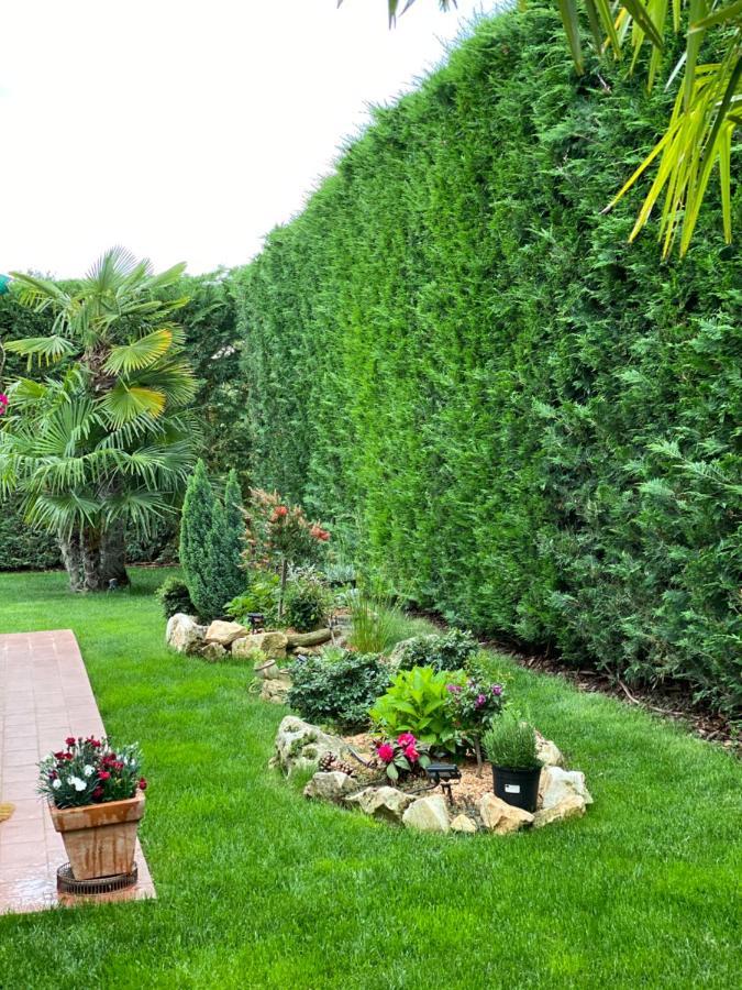 Villa Eva Karigador Новиград Екстериор снимка