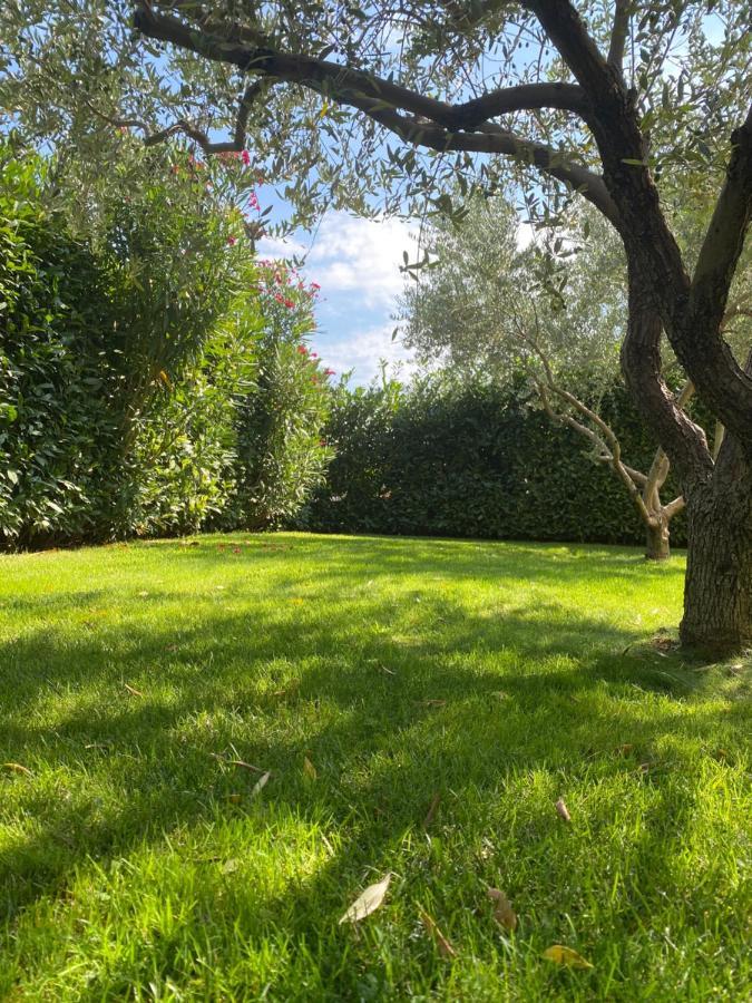 Villa Eva Karigador Новиград Екстериор снимка