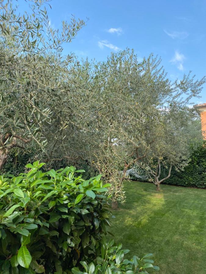 Villa Eva Karigador Новиград Екстериор снимка